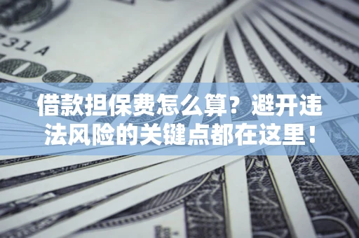 济南借款担保费怎么算？避开违法风险的关键点都在这里！