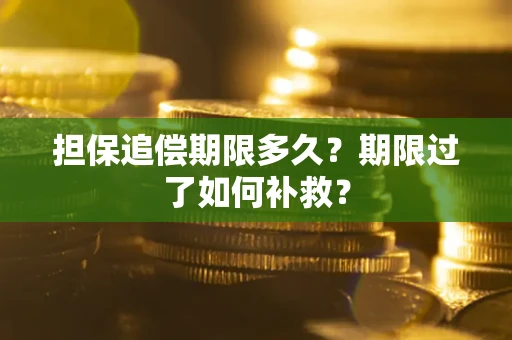 济南担保追偿期限多久？期限过了如何补救？
