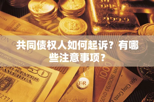 济南共同债权人如何起诉？有哪些注意事项？