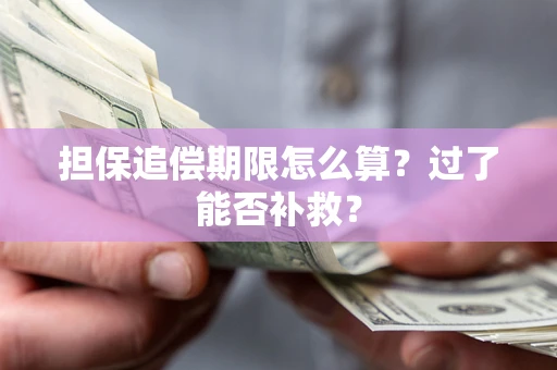 济南担保追偿期限怎么算？过了能否补救？
